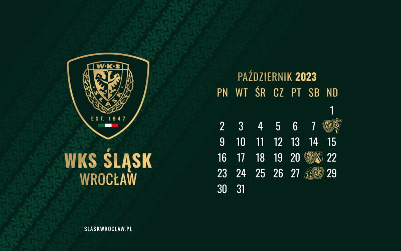 Slask wroclaw - Figure 1